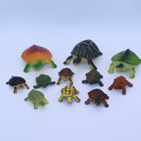 Lot of 11 Turtles & Tortoises