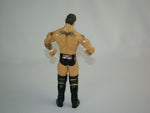 WWE Randy Orton