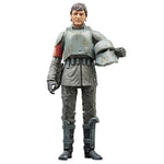 Star Wars Black Series Din Djarin