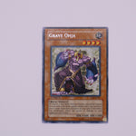Yu-Gi-Oh! 1st Edition Grave Ohja card