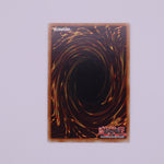 Yu-Gi-Oh! 1st Edition Worm Yagan card