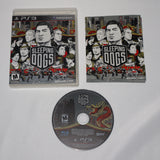 PS3 Sleeping Dogs