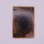 Yu-Gi-Oh! 1st Edition Blackwing - Hillen the Tengu-Wind card