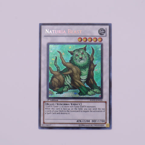 Yu-Gi-Oh! 1st Edition Naturia Beast card