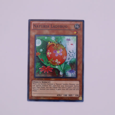 Yu-Gi-Oh! 1st Edition Naturia Ladybug card