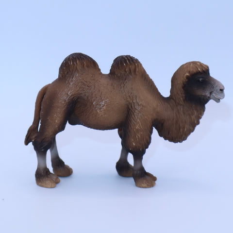 Schleich Bactrian Camel