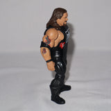 WWE Superstars Kevin Nash