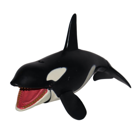Chap Mei Killer Whale Orca