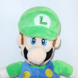 Nintendo Super Mario Luigi