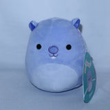 Squishmallows Javari the Purple Groundhog