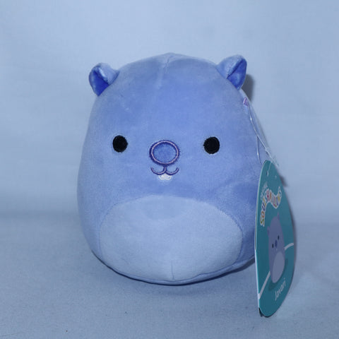 Squishmallows Javari the Purple Groundhog