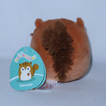 Squishmallows Sawyer the Squirrel