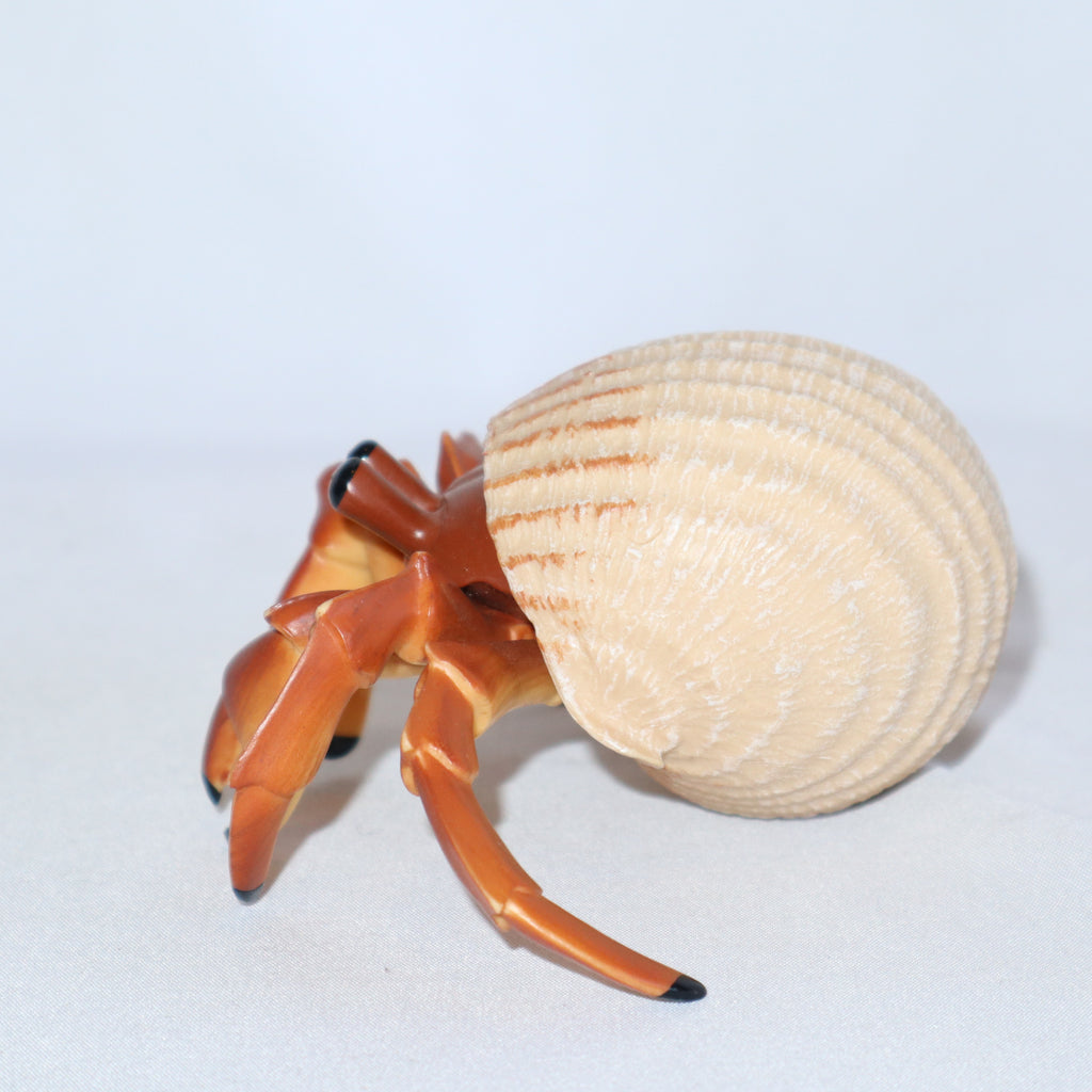 Safari Ltd Hermit Crab – geekedouttoys