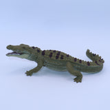 Safari Ltd Crocodile