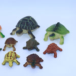 Turtles & Tortoises lot