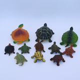 Turtles & Tortoises lot