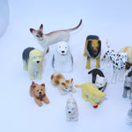 Dogs & Cats lot