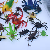 Insects & Arachnids lot