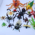 Insects & Arachnids lot