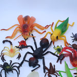 Insects & Arachnids lot