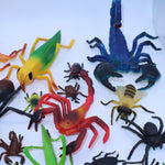 Insects & Arachnids lot