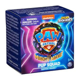 Paw Patrol Mighty Movie Pup Squad Surprise Figure