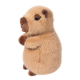 Douglas Chattie Capybara Mini