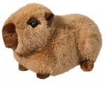 Douglas Chattie Capybara