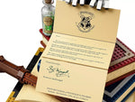 Lego Harry Potter Hogwarts Icons Collector's Edition