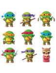 Cool Things TMNT Buddies Mystery Capsule