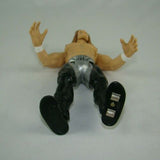 WWF Titan Tron Live Triple H