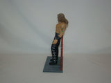 WWF Ripped & Ruthless 2 Shawn Michaels