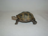 Schleich #14824 Tortoise