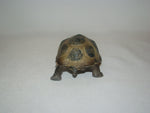 Schleich #14824 Tortoise