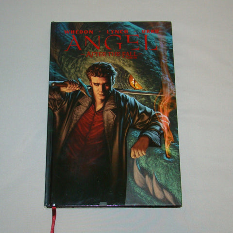 Angel After the Fall Vol. 1 hardcover book